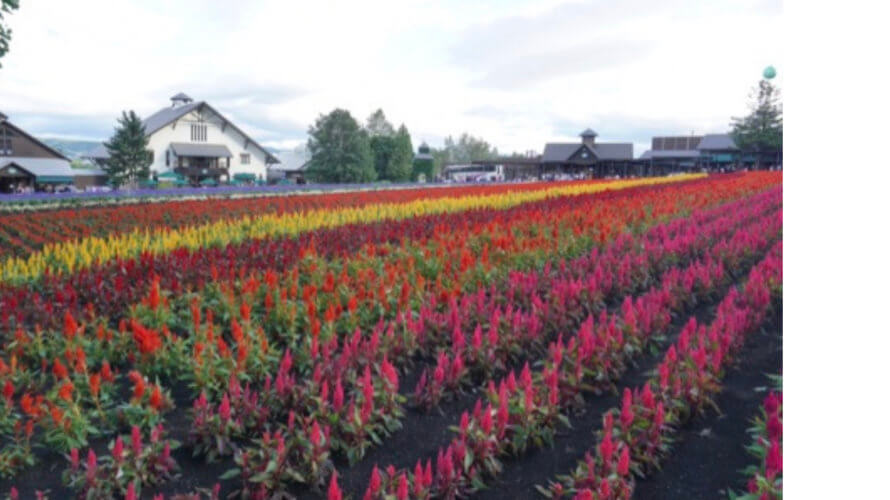 【メ】家族旅行 in 北海道 ・ 1日目