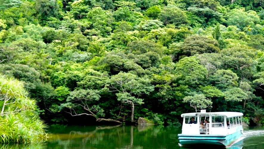 西表島 ファミリーツアー・2日目① カンピレーの滝