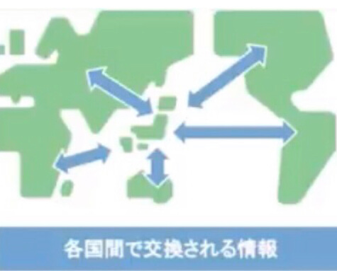 【メ】各国間で交換される口座情報の内容