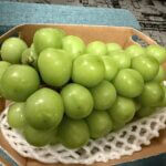 アメリカのコストコで買ったもの① 食品