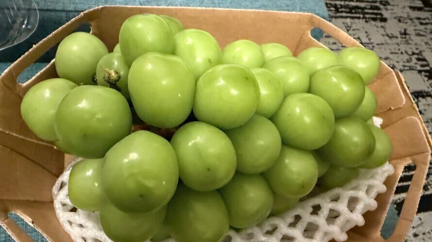 アメリカのコストコで買ったもの① 食品